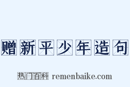 赠新平少年造句是什么意思的图片